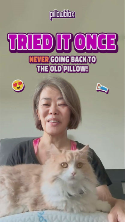 Pillowblox Cooling Pillow